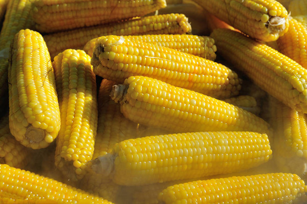 冻疮|热水煮一宝，少往医院跑！老中医说了几个小妙方，煮煮就能搞定！