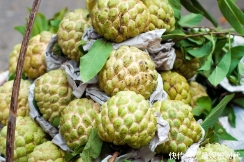 此野果是個(gè)寶,每天食幾粒,能美白排毒,延緩衰老,還能調(diào)養(yǎng)身體