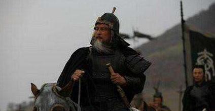 原因就|这位将军武功无人能敌,帝王都忌惮三分不敢杀,却为自保愁白头发