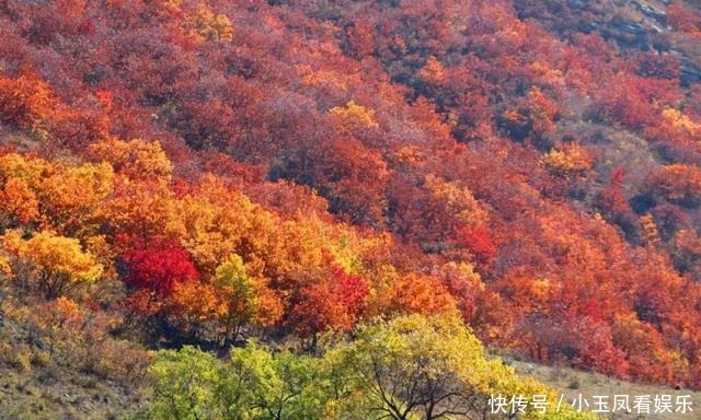 「聚焦」｜索博日嘎镇金秋美景为祖国庆生