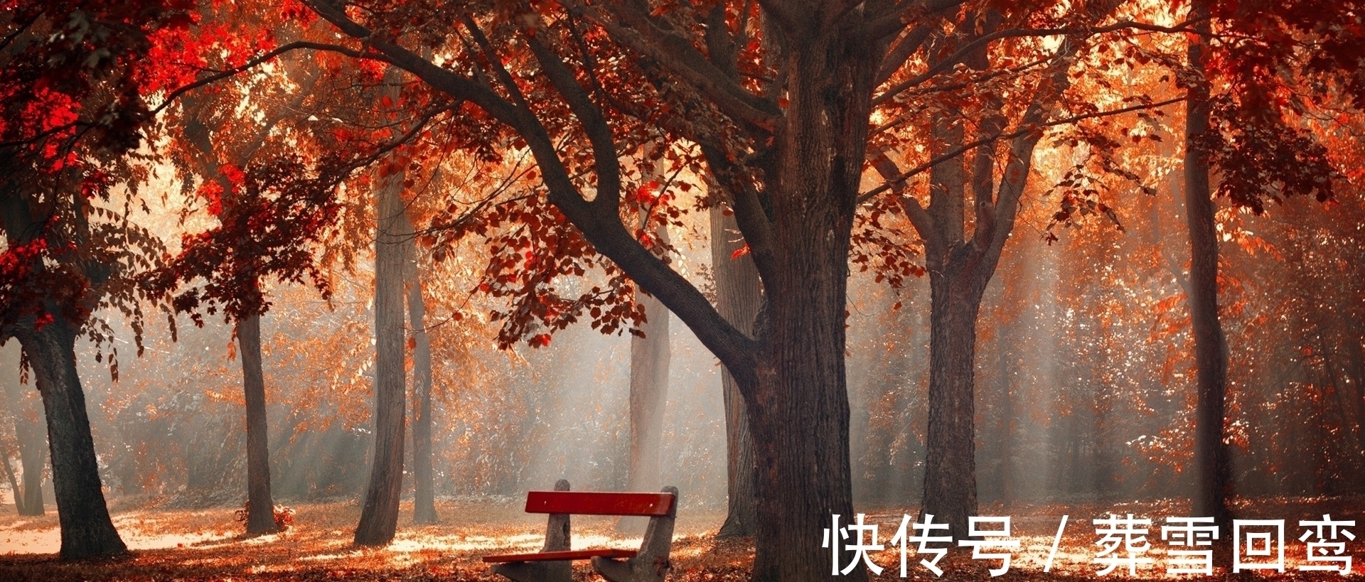 胜春朝#孟浩然28字唐诗记载初秋之景,成就唐诗当中最诗意的秋色