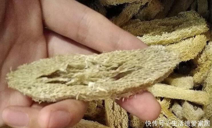 适合|花盆里加点这个,不烂根不黄叶,轻松养满盆