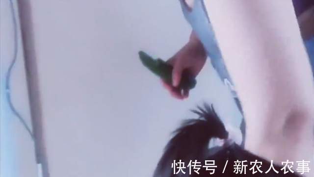 小女孩|山东一奶奶火了,小孙女贪玩屡教不改,一个神操作立刻解决