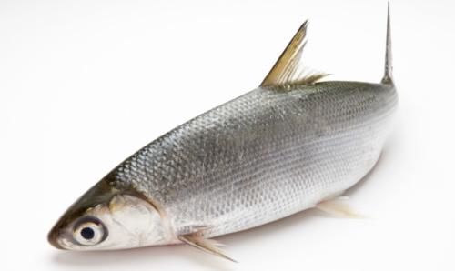 苹果|这”9种“软化血管的食物一定要常吃！心血管疾病患者别错过了