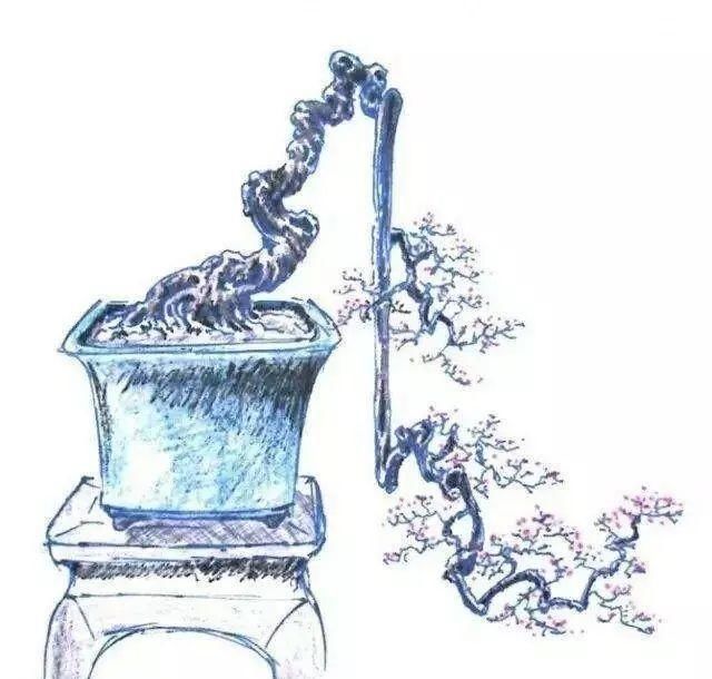 韵味|值得收藏的盆景设计图,别有韵味