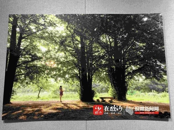 百幅|“一城绿色半城河”主题摄影展入围作品展示 百幅摄影作品尽展城市之美