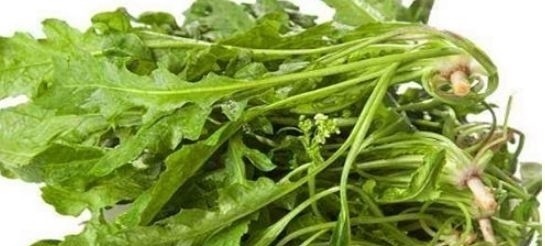 养肝|女人想皮肤好,推荐吃几种食物,补肾养肝,滋阴补虚,美容肌肤