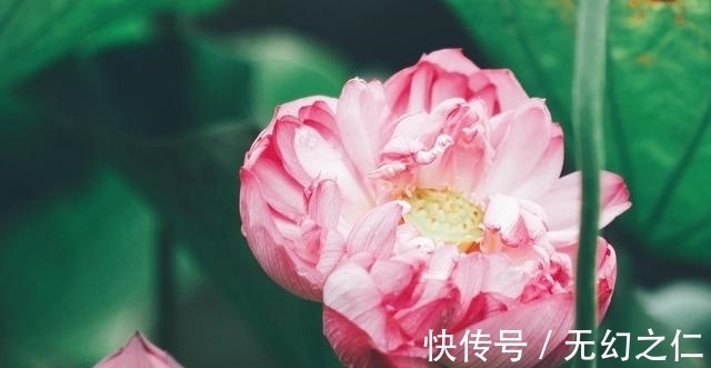 三傻|星座界的“三傻”，实则“人精”，想忽悠他们难如登天，从不吃亏