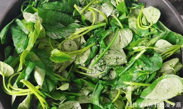 大魚大肉|夏天,多吃這個菜,營養高常吃好處多,簡單一炒,脆嫩爽口
