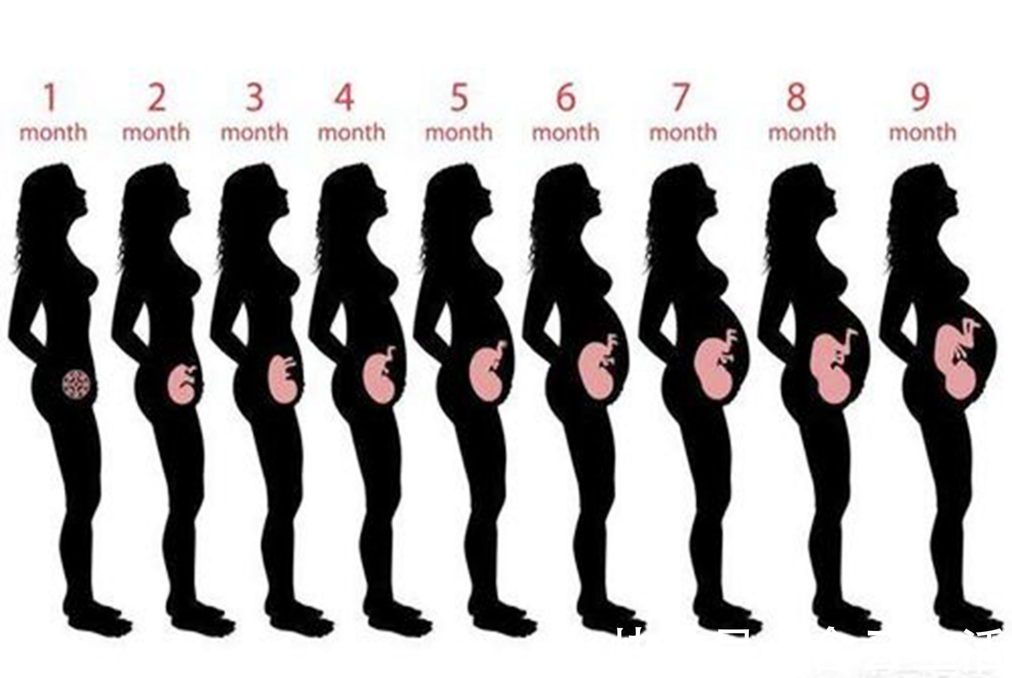 胎盘|孕早期B超单上的四个指标,暗含了胎儿的“小秘密”,你看得懂吗