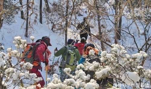 光棍山我们又来了！今天你披上了银装，真美！