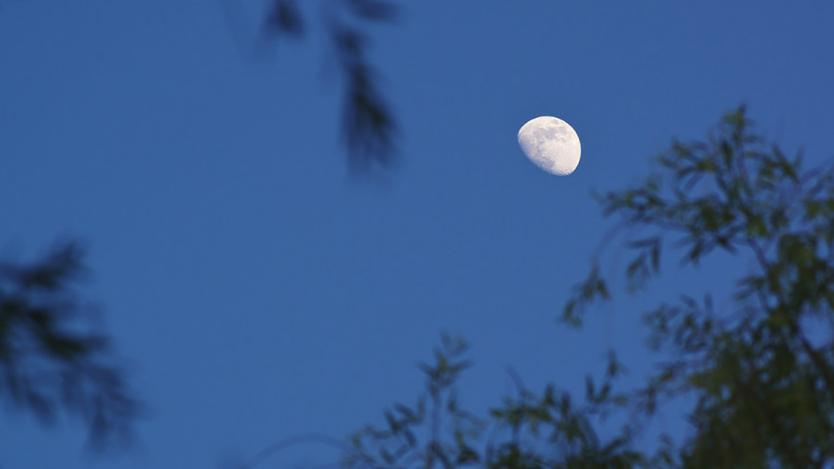 千里梦$岳飞很孤苦郁闷的一首词,末尾8个字却广为流传,你肯定听说过