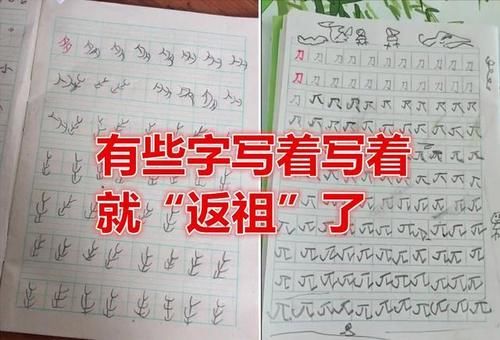 小学生“返祖式”练字，试图研究文字演变过程，莫名有些可爱