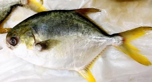  蛋白质|女性爱美多吃3种食物，营养丰富、增强体质，爱吃就赚了