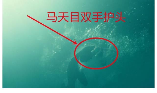 《前行者》收官,4个细节,开放式结局“穿帮了”