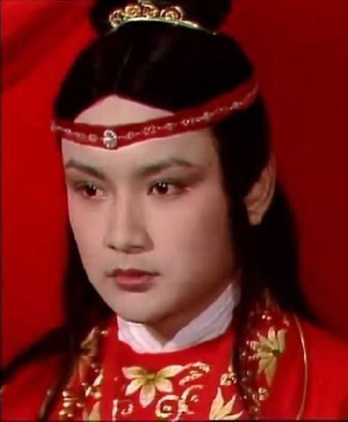 牡丹花|薛宝钗是牡丹花,为什么贾府无牡丹,多芙蓉花曹公寓意太晦涩