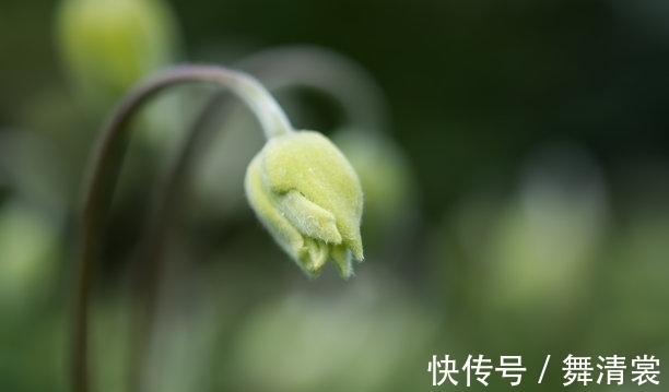 贵人|还有一周，繁花绽放，落花无意，贵人指引，情难断，此生不负真情