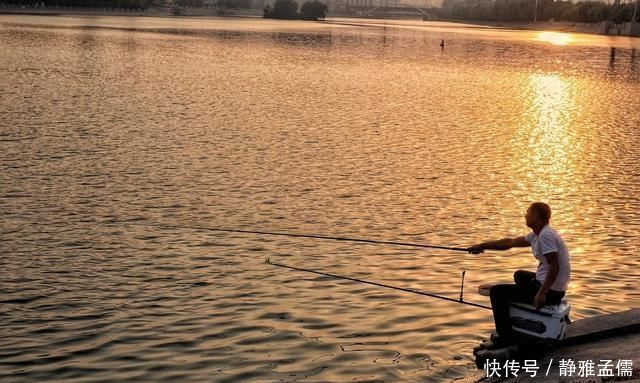 柳絮|钓白条有技巧,并不是使用腥饵那么简单,想钓得好这几点尤为重要