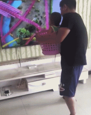 |搞笑GIF:猫:自从这个金毛来到这个家,老子的地位就一落千丈