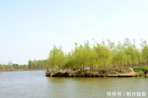 掠食|泥鳅钓鱼，这才是真正一天百十斤的疯狂钓法