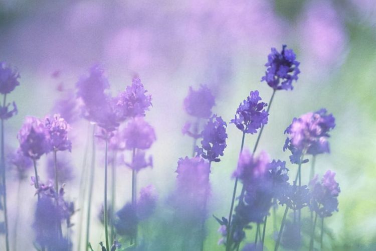 事實上，看看你家的這個地方，就知道你過得好不好，沒必要假裝