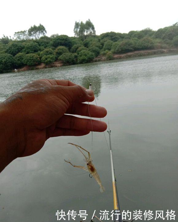 打不中鱼|漂相很稳就是打不中鱼?解决起来挺简单,但要排除一个问题