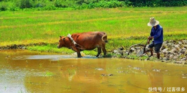 为什么说“三十不发,四十不富,五十将来寻死路”,早知道早受益