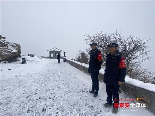 下雪|泰山又下雪啦！青山原不老，为雪而白头