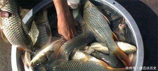 夏钓时，我只在这“钓点”下竿，不吹不黑，钓到天黑也不想走！