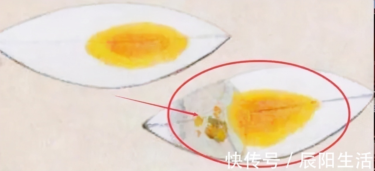 黄永玉$齐白石画两鸭蛋,求画者恳求多画些,结果却抠门的画了一苍蝇