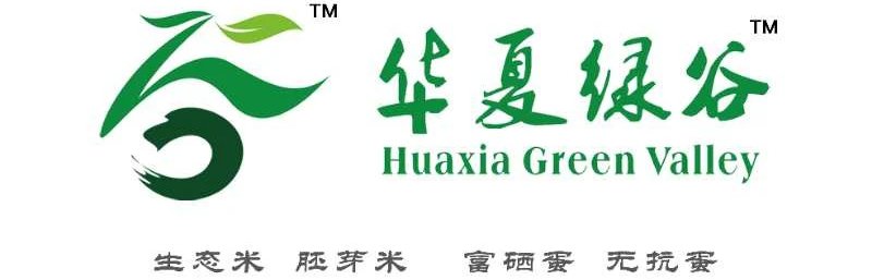 巴洛克|每天“加戏”!老道外中华巴洛克再添千盏红灯笼,红红火火迎新年