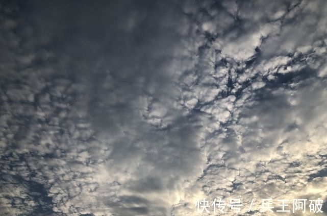 偶数|啥是“公伏头”和“母伏头”，今年是公伏还是母伏？何时入伏？