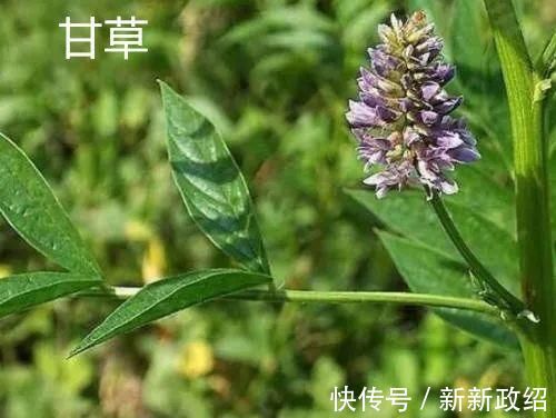 疏肝|药王孙思邈:1个妙方5味药,疏肝、养心、健脾、温肾,大补五脏!