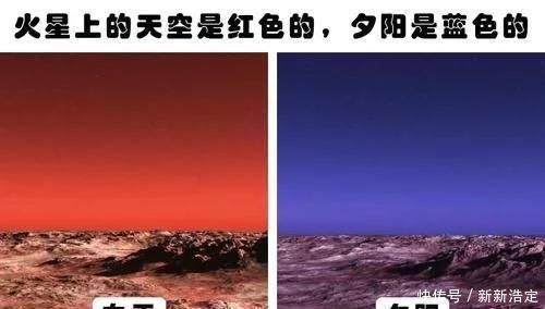 蓝鲸 你肯定没有听过的10个冷知识与现实生活息息相关