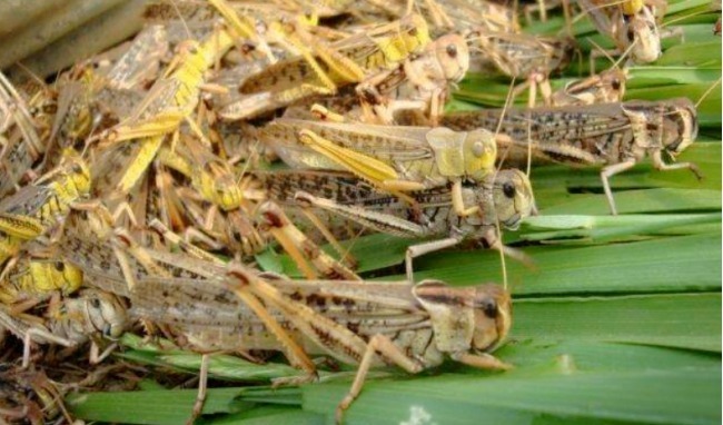 唐太宗李世|李世民为何被称为千古一帝他做的这4件事古今无一位皇帝做过