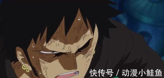 帽子|海贼王中的6位帽子星人,赤犬是平头,乔巴戴帽子的方式公开!