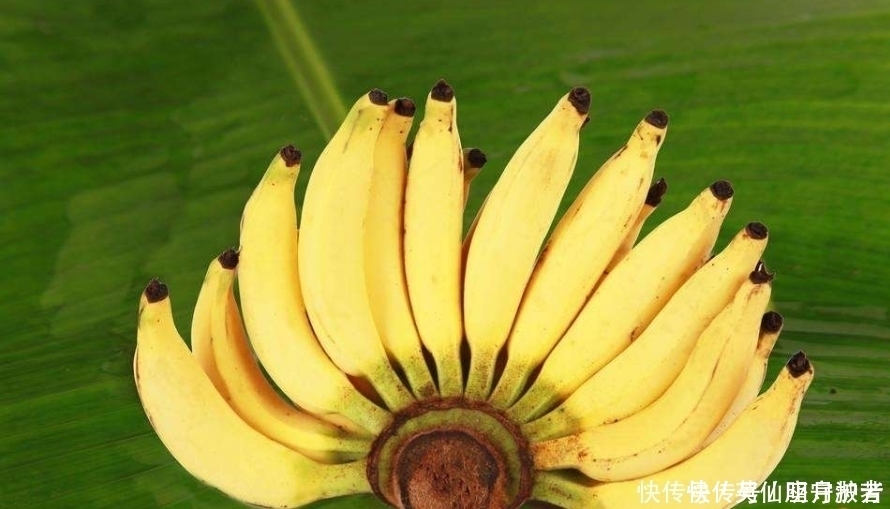 香蕉|吃完香蕉,香蕉皮扔掉?教你3招关于香蕉皮的妙用,太实用了