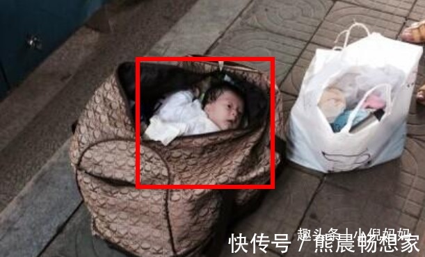 父母|未满1岁宝宝惨遭遗弃,在地上边爬边哭,父母成为罪魁祸首