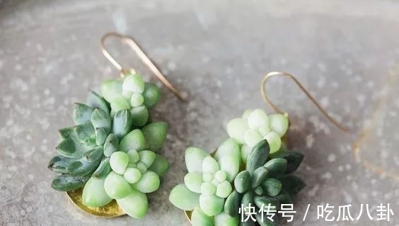 你的婚礼&不是所有首饰都是珠宝的,多肉做成首饰,颜值完全秒杀大牌首饰!