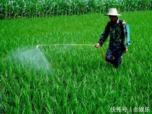 医生为了让孩子远离白血病,这3种水果不能买,别害了孩子