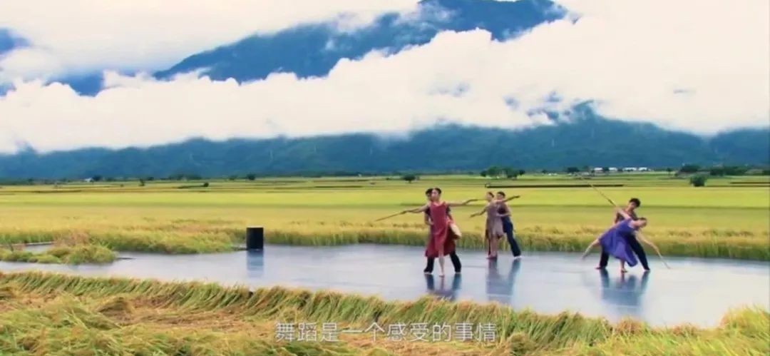  豆瓣|豆瓣9.1，这是什么神仙纪录片？美哭了！