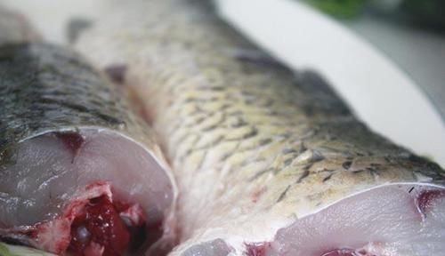 肿瘤|癌症患者,到底是吃肉好还是吃素好?肿瘤医生:需谨记4个字