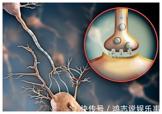 头围|脑袋大的孩子更聪明?错!决定孩子智力的其实是这“两个部位”