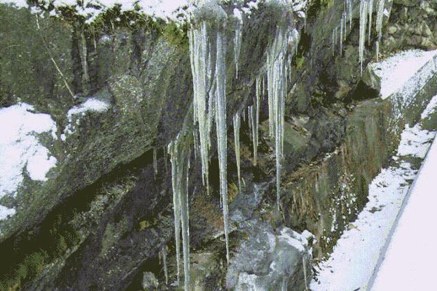 县区|初雪！周边县区雪景美图来袭！