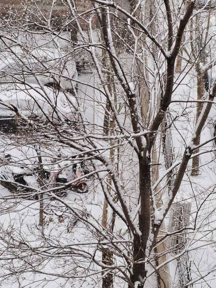 2022年济南第一场雪！漂亮的雪景请你欣赏