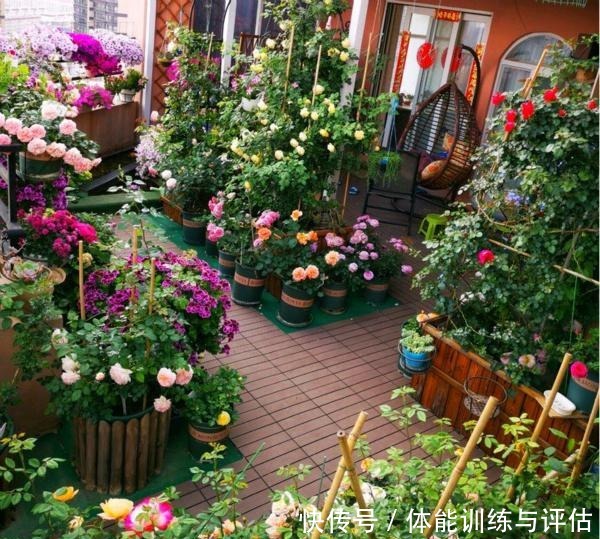 他痴迷养花,露台养了100多盆花,盆盆美爆,惊艳全小区!