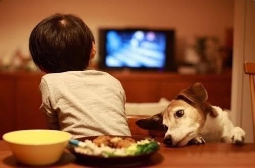 隐形衣|8岁儿子为看动画片,网购“隐身衣”作掩护,试穿效果笑翻网友