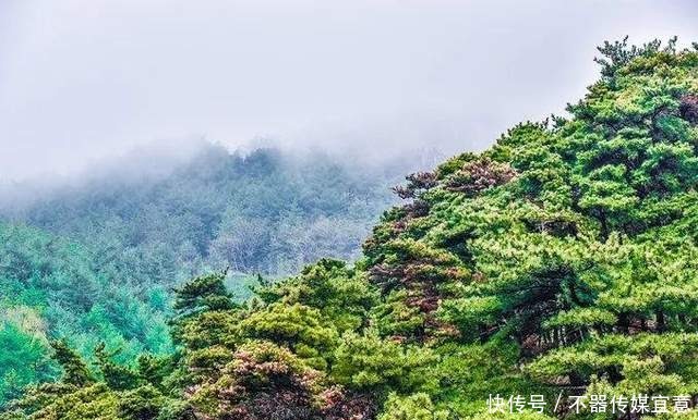 新台高速建成通车！沿线美景遍布，值得打卡！