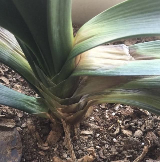 生病|不想让家里人常生病,家里就不要堆积这3样东西,不少人都中招了