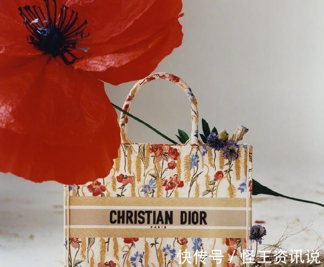 by|你都喜欢什么牌子的包包我喜欢Dior,蔻驰和By Far